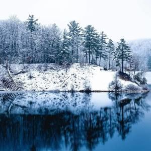 Meet your Posher, Dan